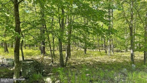 Buildable Lot in Bushkill, PA