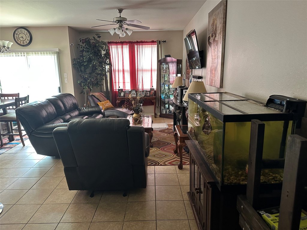 Picture 5