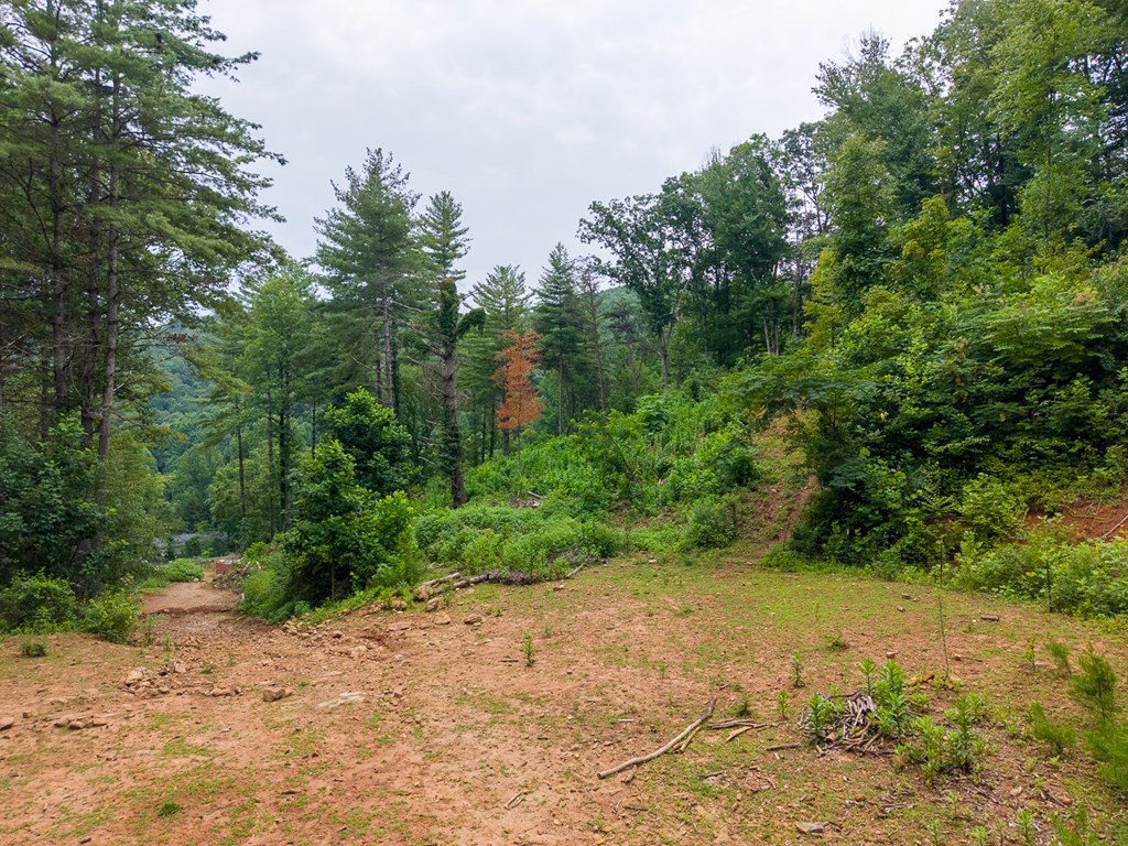 Picture 25