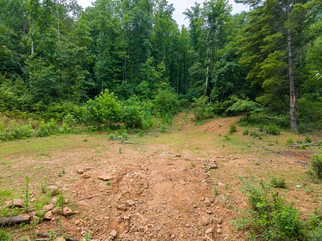 Picture 21