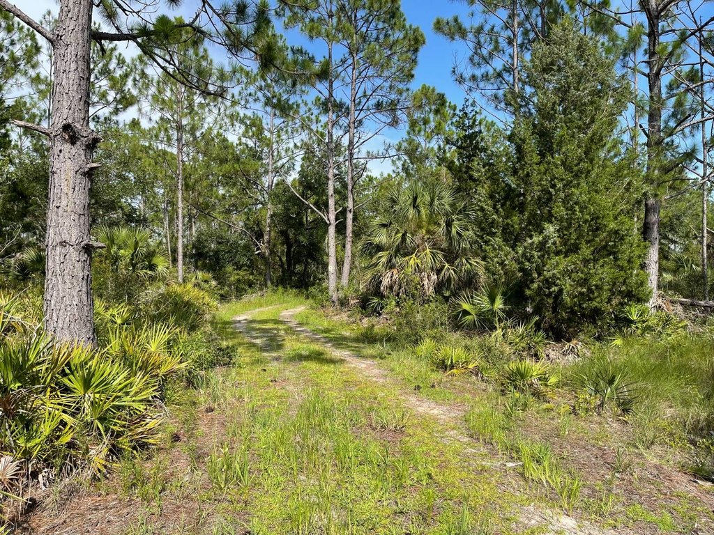 Picture 6