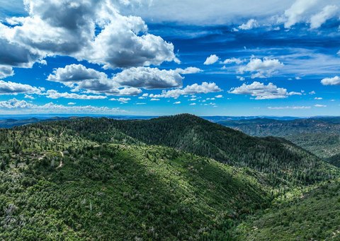 Duck Creek Land with Water