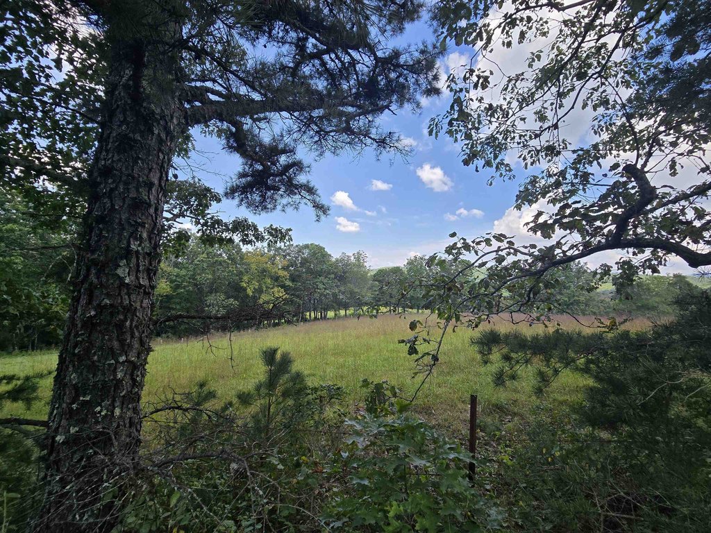 Picture 25