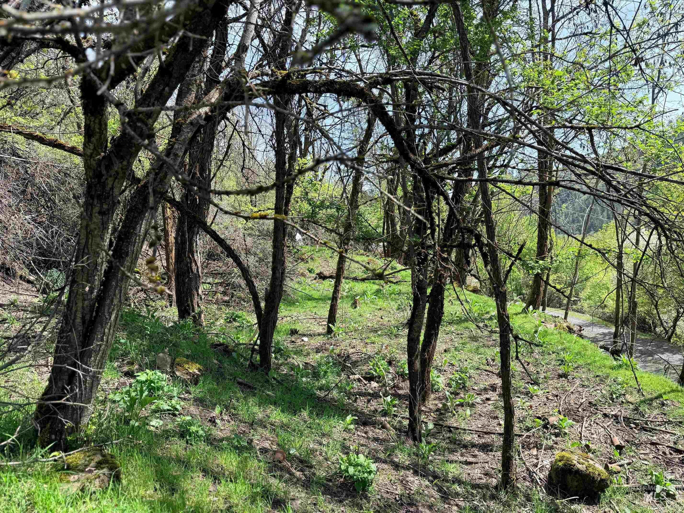 Orofino Land Within City Limits