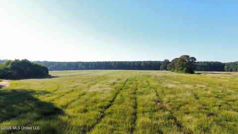 Land, Florence, MS