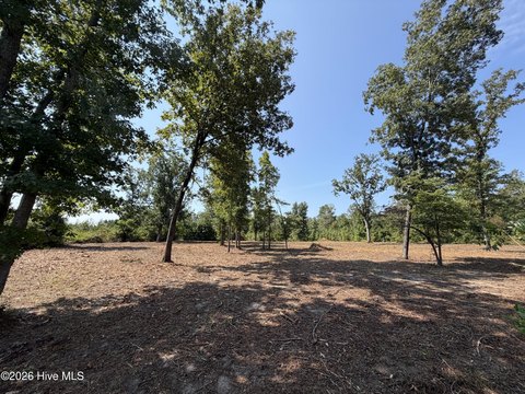 Land, Blythe, GA
