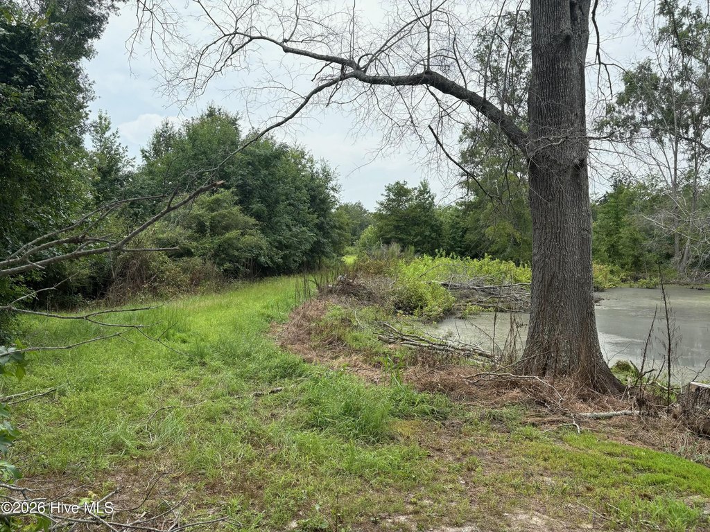 Picture 13