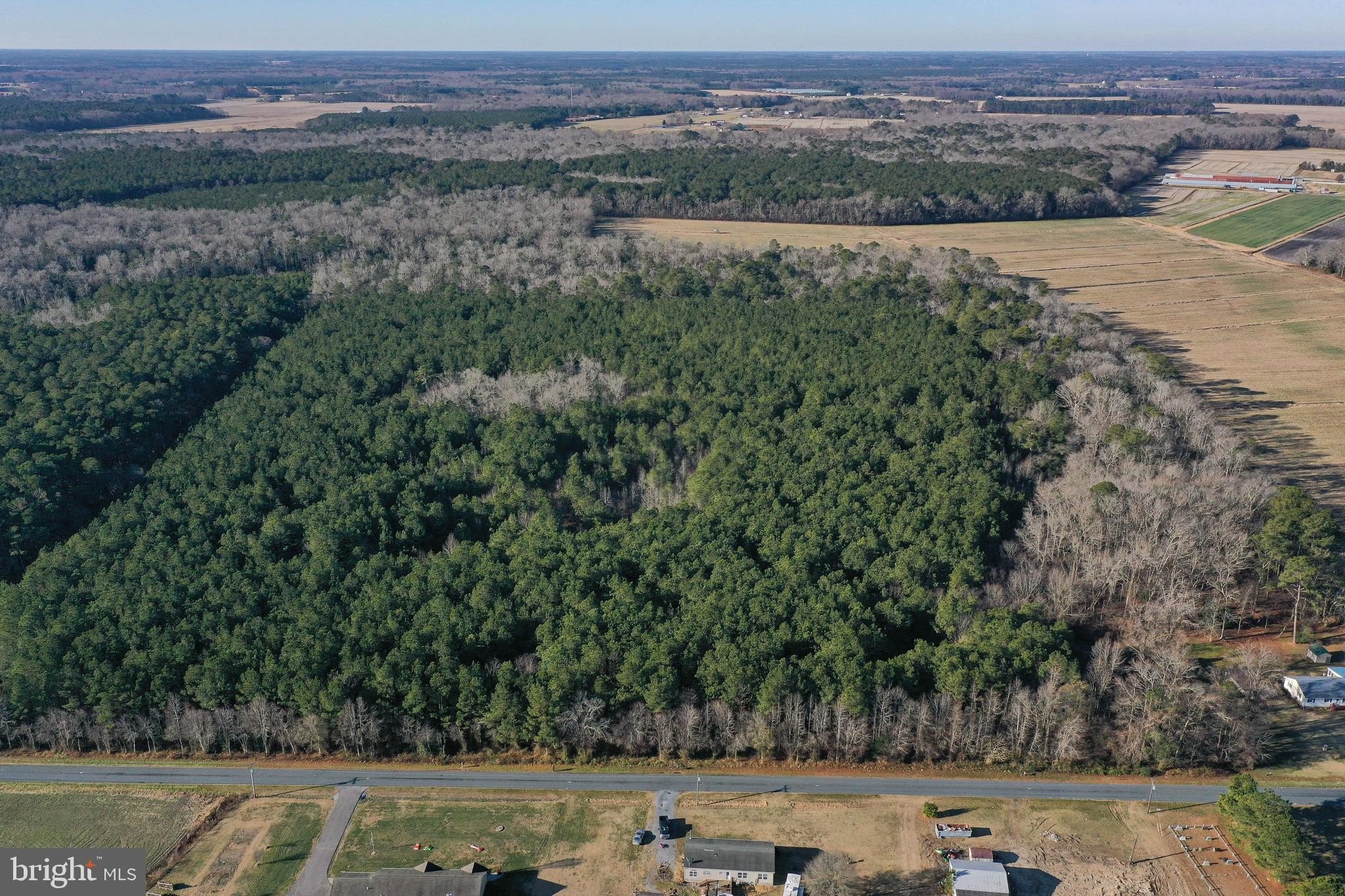 38 Acres Wooded Land Willards