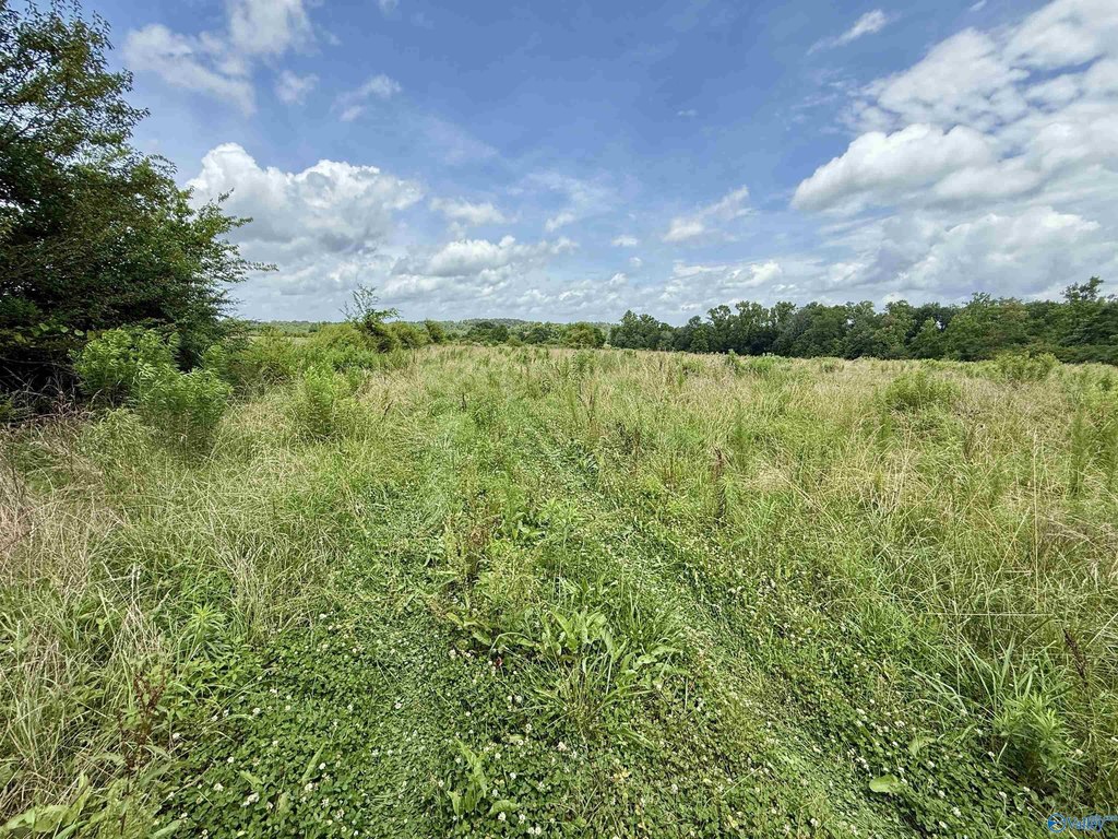 Picture 25