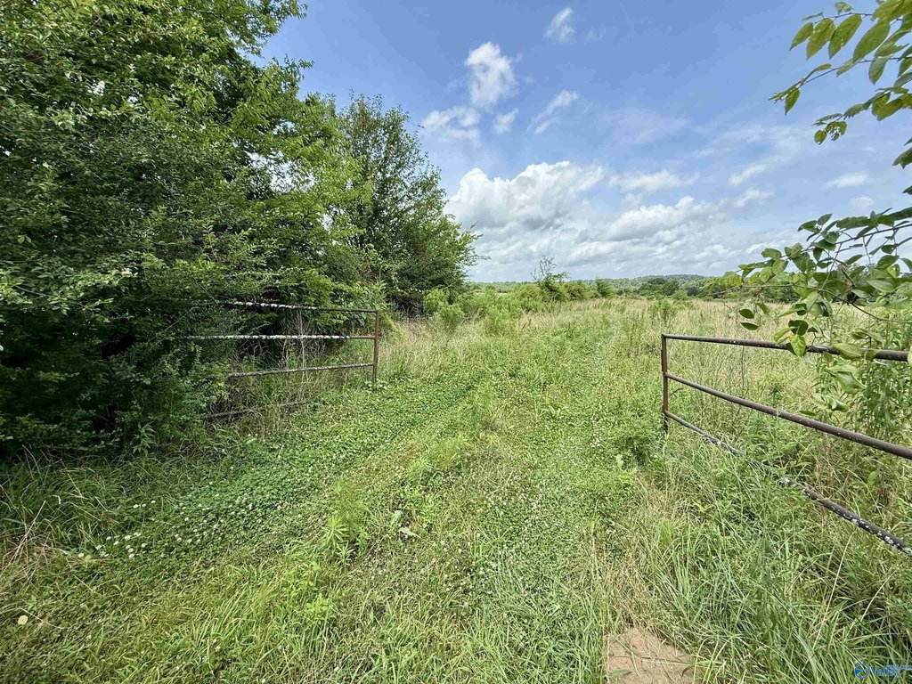 Picture 24