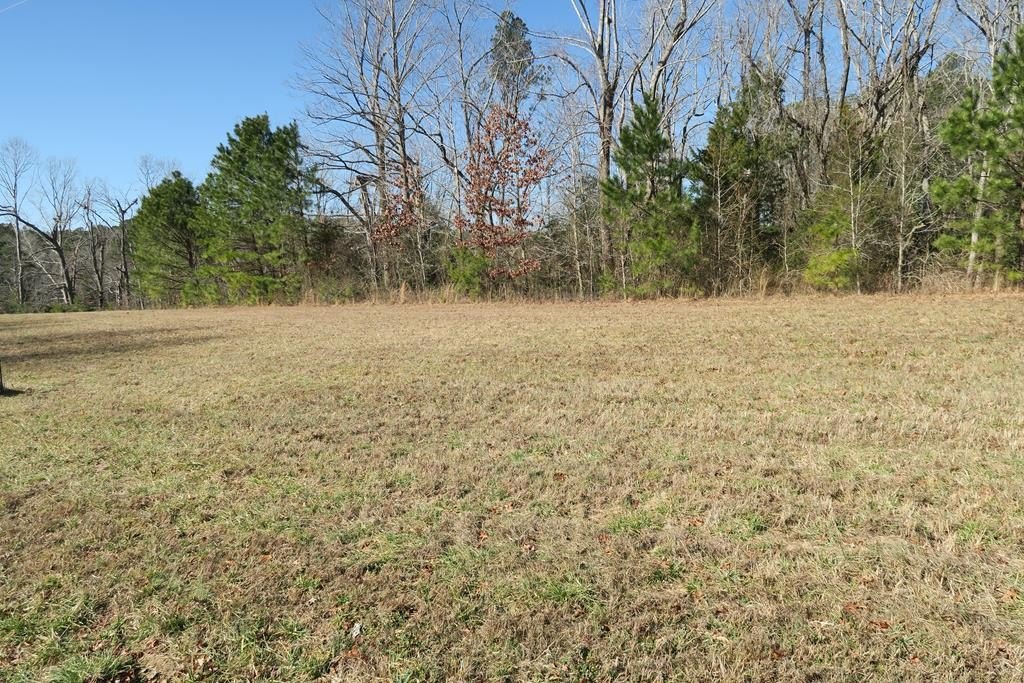 Picture 3