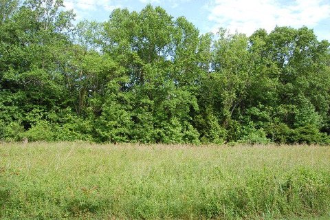 Residential Land Near Boat Ramp