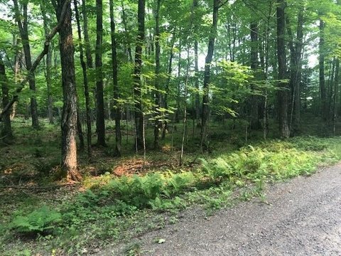 Northwoods Hunting and Recreation Land