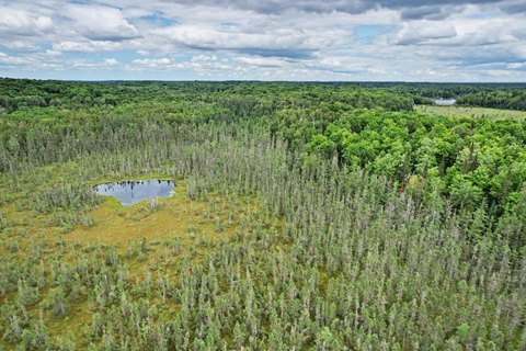 Northwoods Hunting and Recreation Land