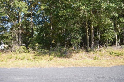 Residential Land in Manning, SC