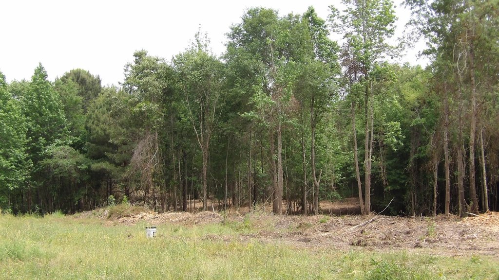 Picture 2
