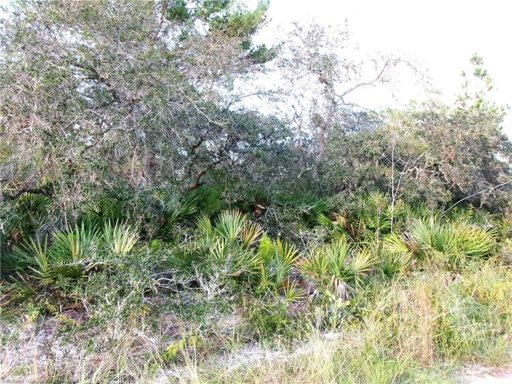Picture 7