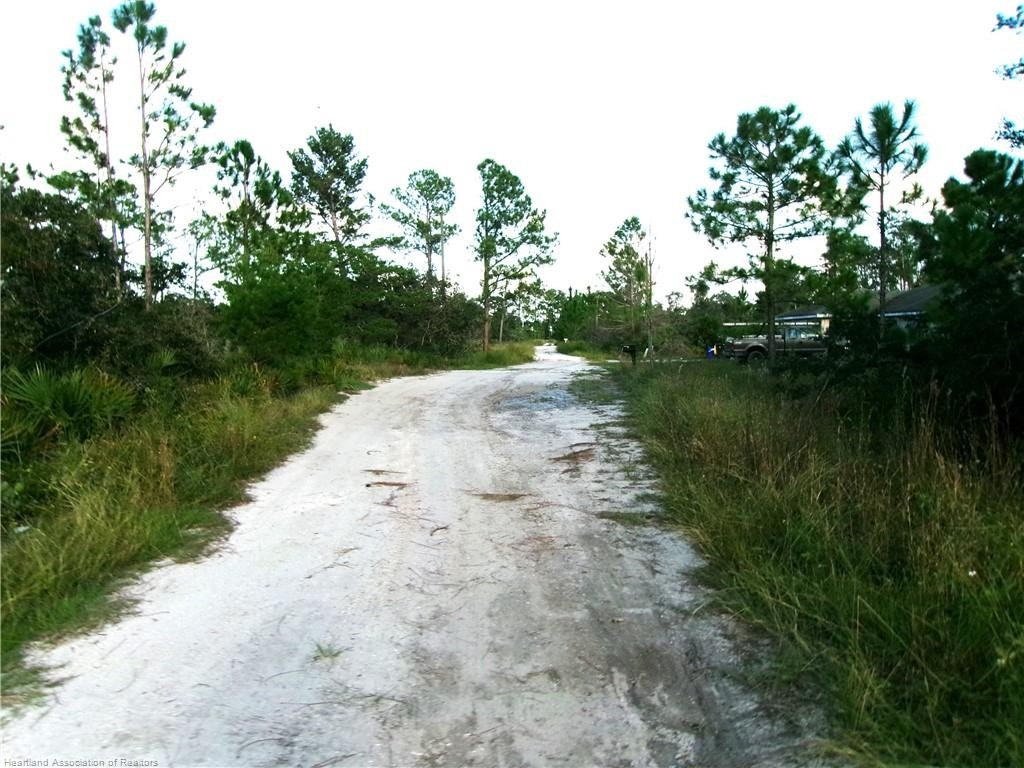 Picture 3