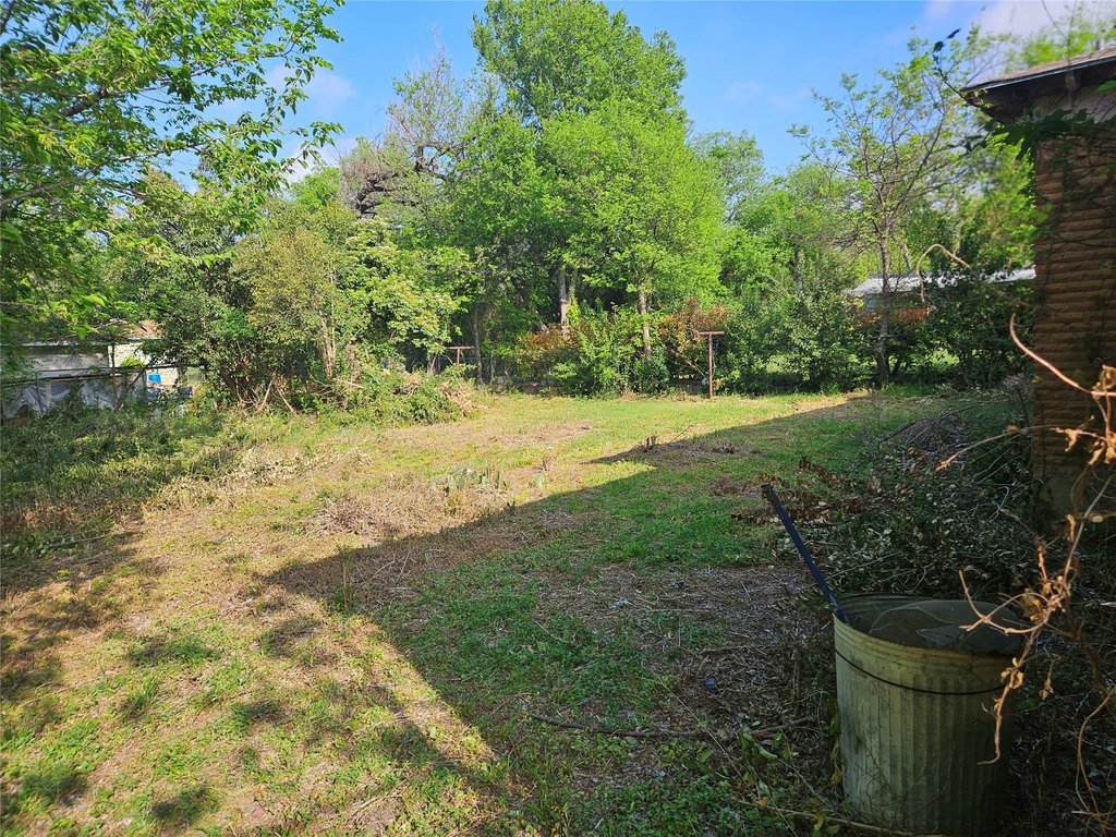 Picture 4