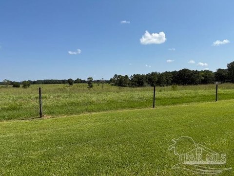 Mcdavid, FL Land Parcel