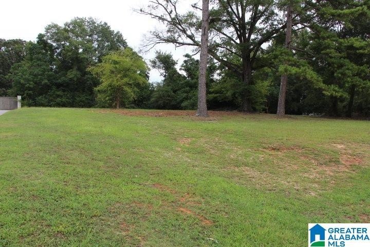 Picture 19