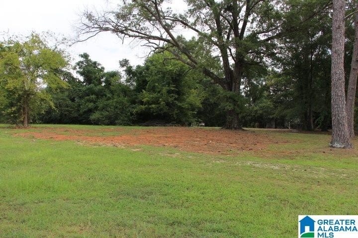 Picture 20