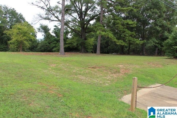 Picture 18