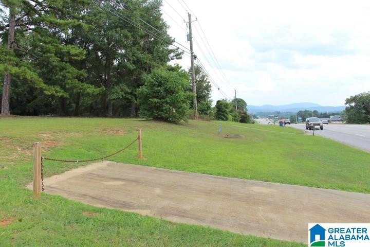 Picture 16