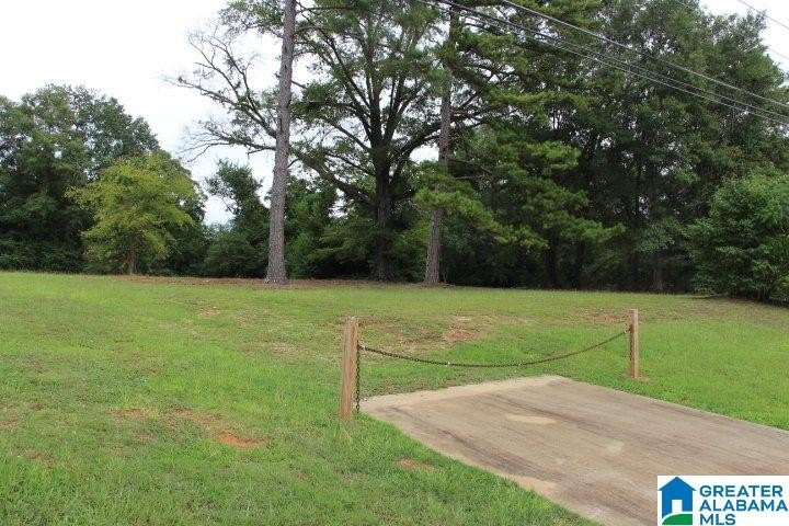 Picture 17