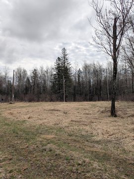 Secluded Recreational Land Parcel