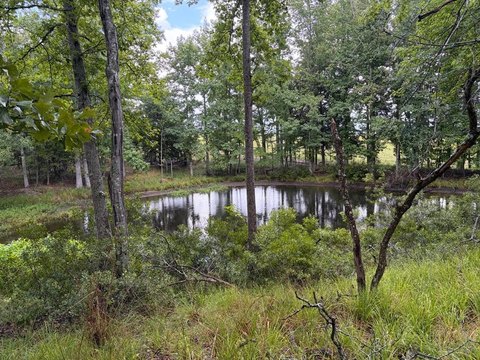 Waterfront Land with Private Pond