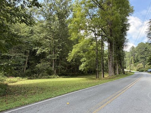 Vacant Lot, Cherry Log, GA