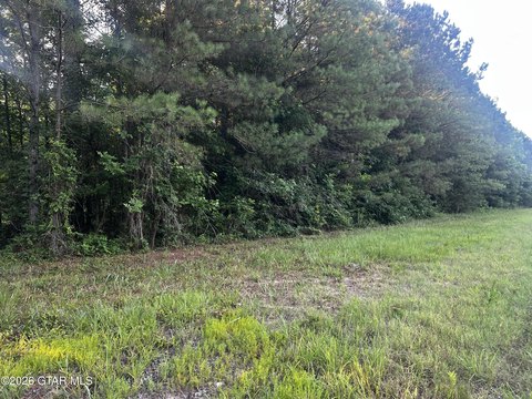 LAND - Steens, MS