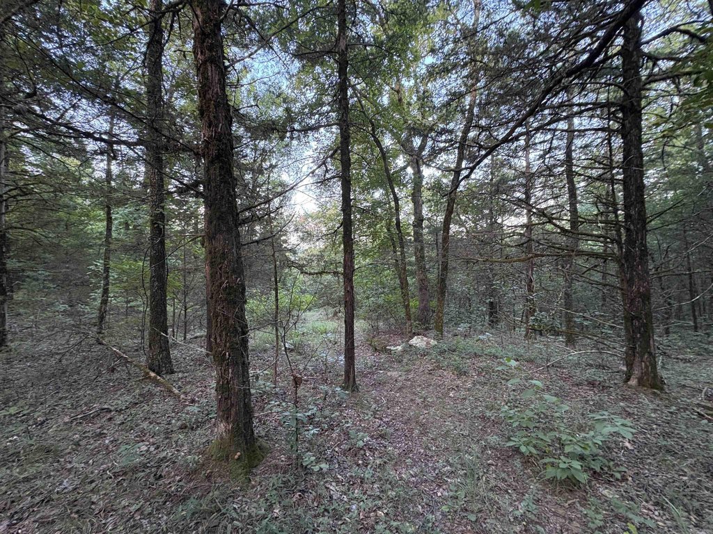 Picture 47