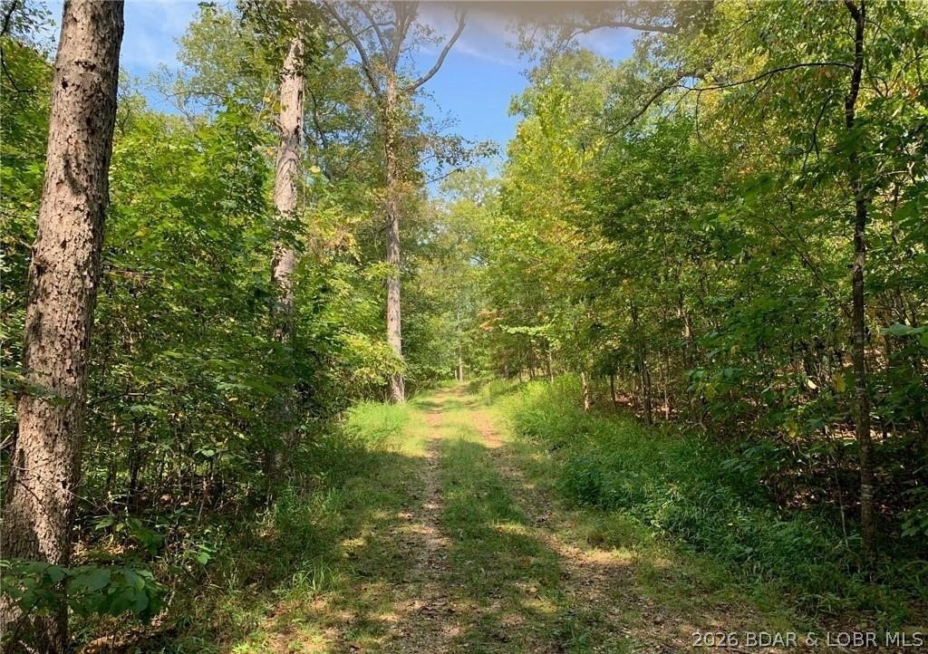 Wooded Land with Scenic Views
