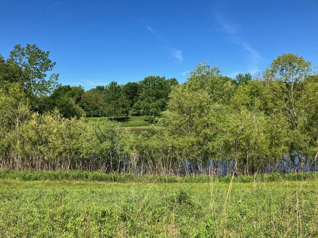 Picture 7