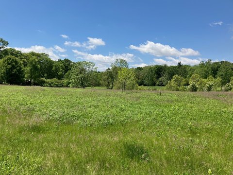 LAND - Urbana, IL