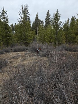 Land, La Pine, OR
