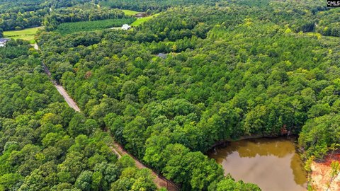 LOTS AND ACREAGE, Irmo, SC