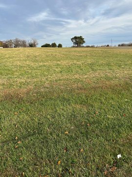 Carmi, IL Vacant Land