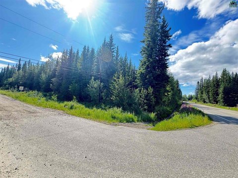 Corner Lot Near Chena Slough