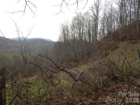 Land, Sylva, NC