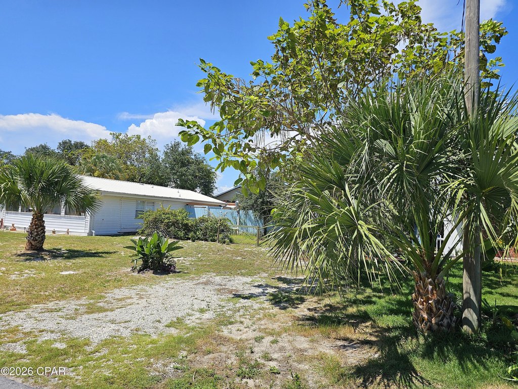 Picture 4