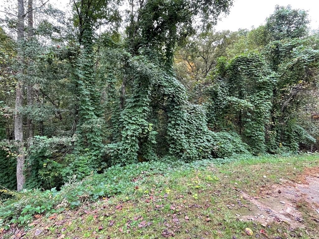 Picture 23