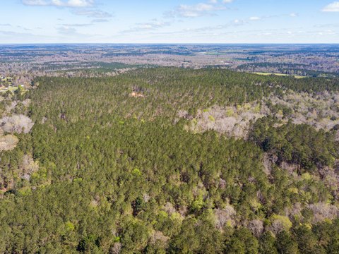Ellisville Land: 5.13 Acres