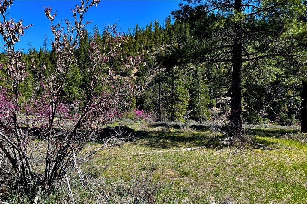 Picture 20
