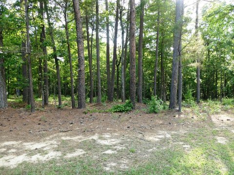 Residential Lot Near Lewis Smith