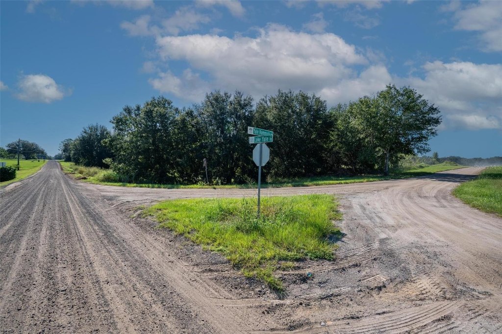 Picture 19