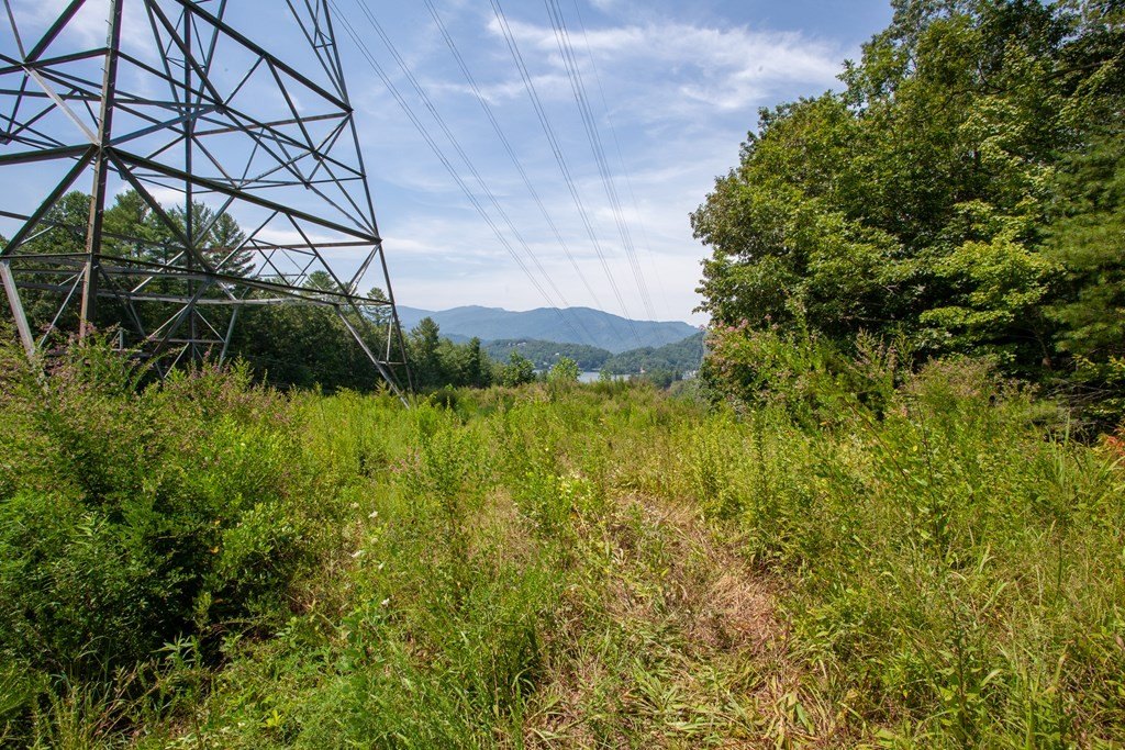 Picture 6