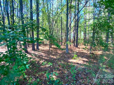 Planted Farmland Tract with Utilities